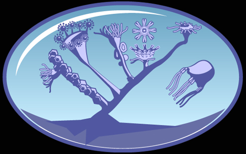 The Cindarian Tree of Life Project